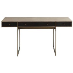 Arteriors Ollie Desk 4665