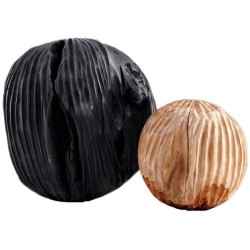 Arteriors Uberto Sculptures ASS01