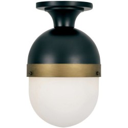 Crystorama Capsule Outdoor Semi Flush CAP-8500-MK-TG