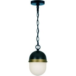 Crystorama Capsule Outdoor Pendant CAP-8506-MK-TG