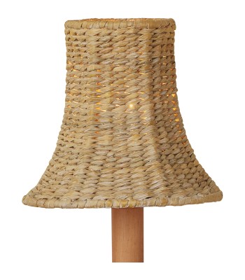 Currey Bell Chandelier Shade 0900-0039