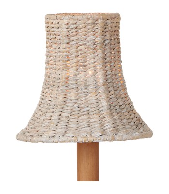 Currey Bell Chandelier Shade 0900-0040