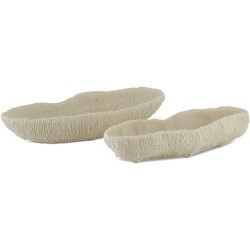 Currey Island Trays 1200-0354