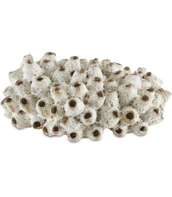 Currey Sulawasi Shells Decorative Accessory 1200-0429