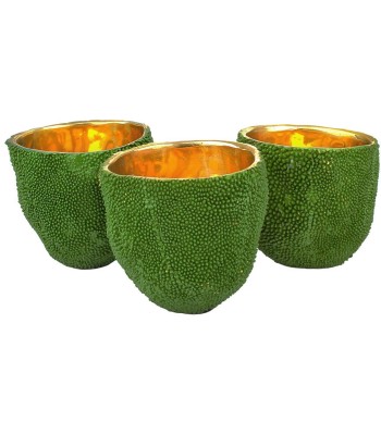 Currey Jackfruit Vases 1200-0724