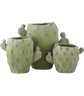 Currey Cactus Vase 1200-0885