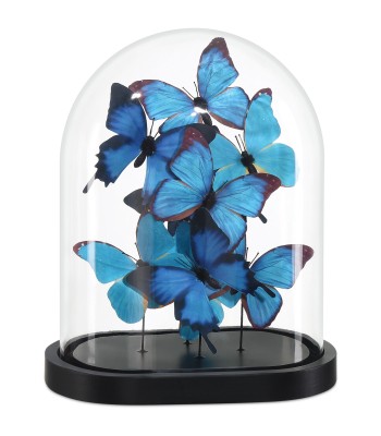 Currey Rue de Bac Butterflies Sculpture 1200-0896