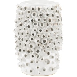 Currey Barnacle Accent Table 2000-0033