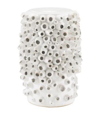 Currey Barnacle Accent Table 2000-0033