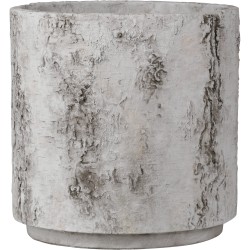 Currey Faux Birch Planter 2200-0054