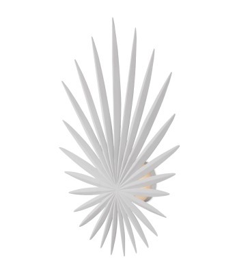 Currey Bismarkia Wall Sconce 5000-0235