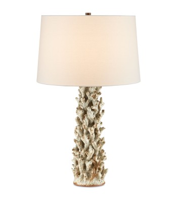 Currey Staghorn Table Lamp 6000-0743