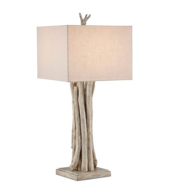 Currey Driftwood Table Lamp 6000-0919