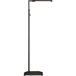 Currey Autrand Floor Lamp 8000-0156