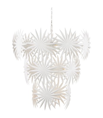 Currey Bismarkia Chandelier 9000-1114