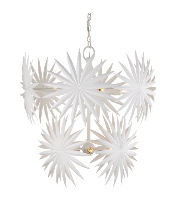Currey Bismarkia Chandelier 9000-1204