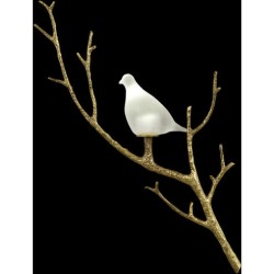 John Richard Leah Wall Sconce AJC-9270