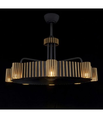 John Richard Cano Chandelier AJC-9331