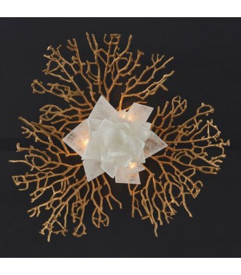 John Richard Stone Flora Wall Sconce AJC-9437