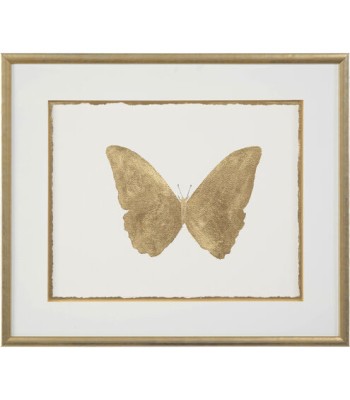 John Richard Shimmering Butterfly Wall Art GBG-1291B