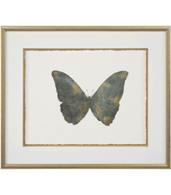 John Richard Shimmering Butterfly Wall Art GBG-1291C