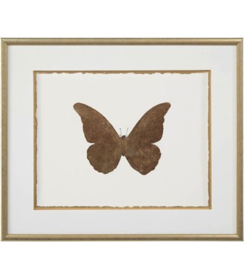John Richard Shimmering Butterfly Wall Art GBG-1291D