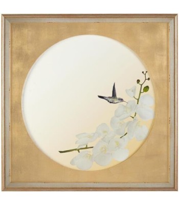 John Richard Hummingbirds In Flight III Giclees GBG-2740C