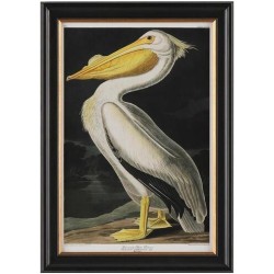 John Richard Audubon  Group Giclee GBG-2854A