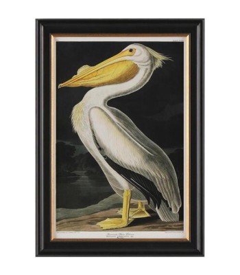 John Richard Audubon  Group Giclee GBG-2854A