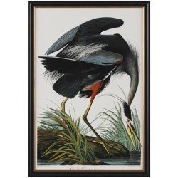 John Richard Audubon  Group Giclee GBG-2856B