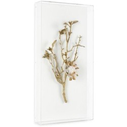 John Richard Gold Calcite Shadowbox GBG-2863A