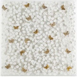 John Richard Petals and Butterflies Shadowbox GBG-2865