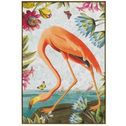 John Richard Vibrant Birds Wall Art GBG-2942A