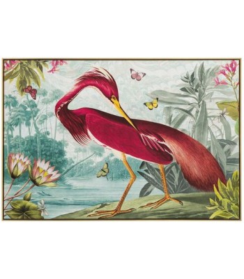 John Richard Vibrant Birds Wall Art GBG-2942B