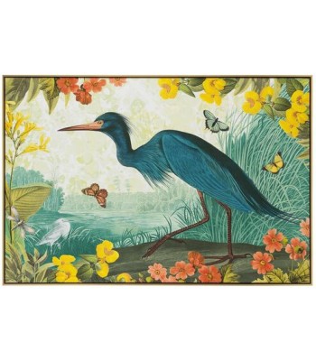John Richard Vibrant Birds Wall Art GBG-2942D