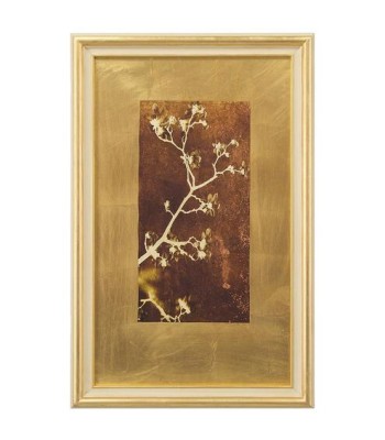 John Richard Botanical/floral Wall Art GRF-5341A