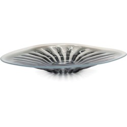 John Richard Rays Of Blue And White Charger JRA-11408