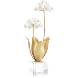 John Richard Allium Moly Decorative Flower JRA-11424