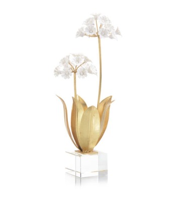 John Richard Allium Moly Decorative Flower JRA-11424