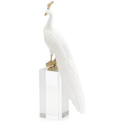 John Richard White Peacock Sculpture JRA-14613