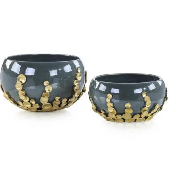 John Richard Golden Disc Bowls JRA-15051S2