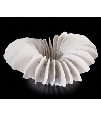 John Richard Leah Bowl JRA-9874