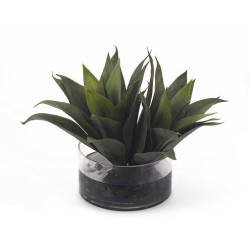 John Richard Leah Decorative Plant JRB-2878W