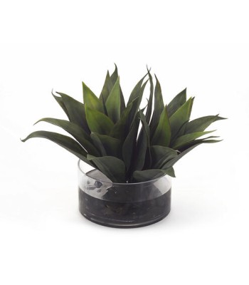 John Richard Leah Decorative Plant JRB-2878W