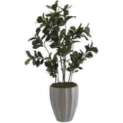 John Richard Fiddle Decorative Plant JRB-3363