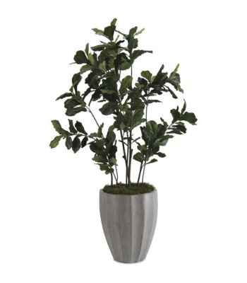 John Richard Fiddle Decorative Plant JRB-3363