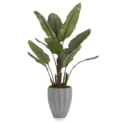 John Richard Leah Decorative Plant JRB-3407