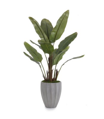John Richard Leah Decorative Plant JRB-3407