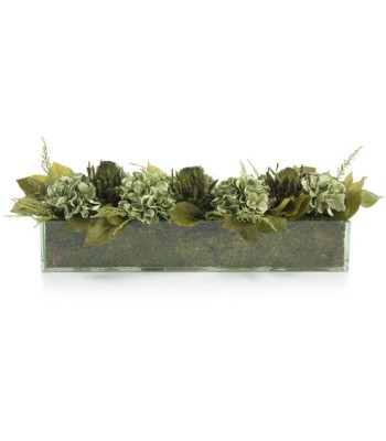 John Richard Leah Decorative Plant JRB-3700