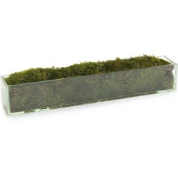 John Richard Moss Decorative Plant JRB-3743